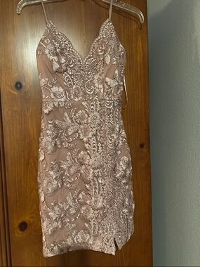 Windsor Blush Rose Gold Lace Mini Dress